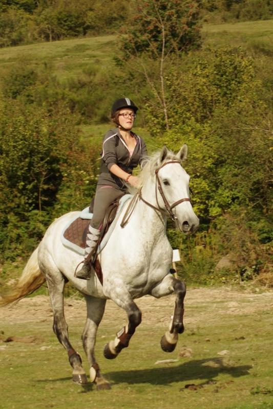 Gîte d'enfants Poney Club Le Crochet à Cenves (Rhône - Monts du Beaujolais).