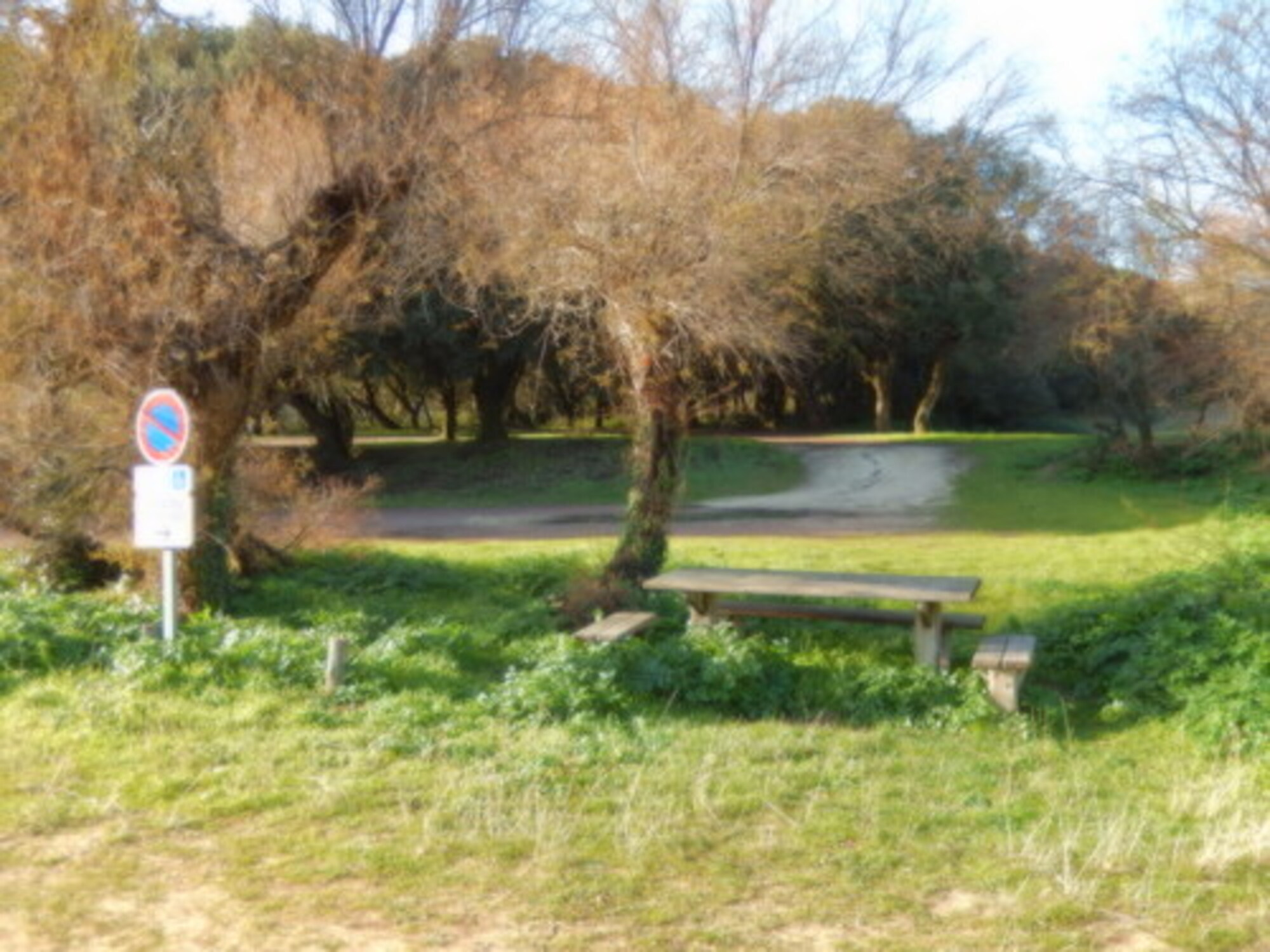 Aire de pique nique Plage de Plaisance