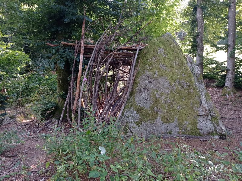 sentier pédestre : balade au Bois de Fessy