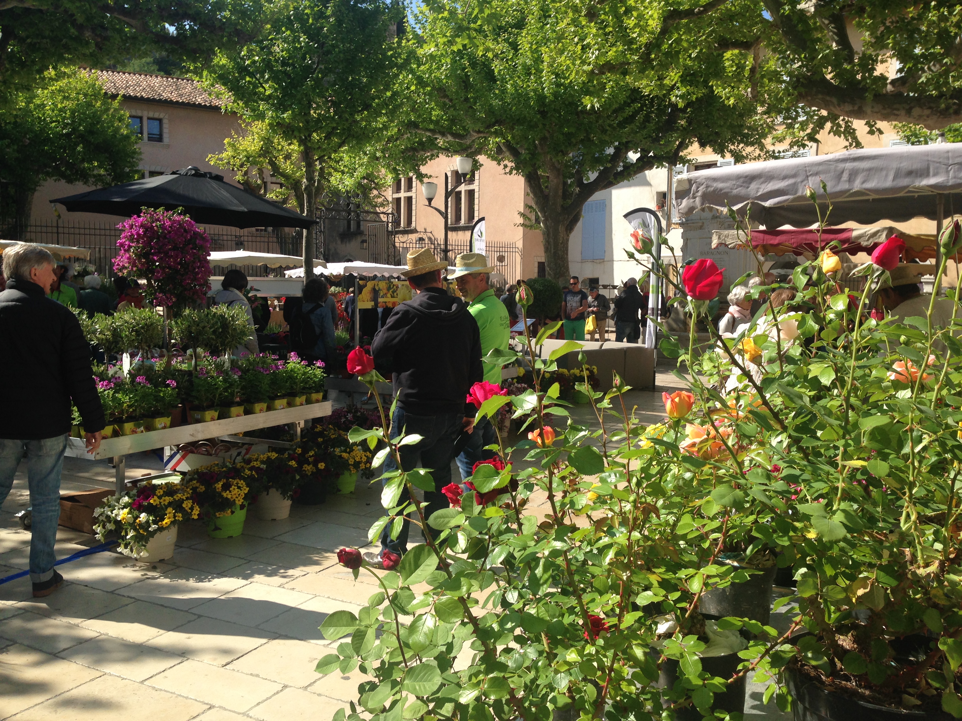 Place Baragnon — photo 2