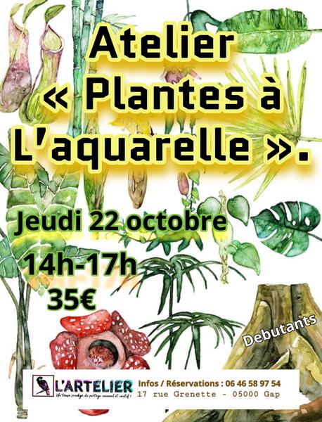 Atelier plantes à l’aquarelle 
