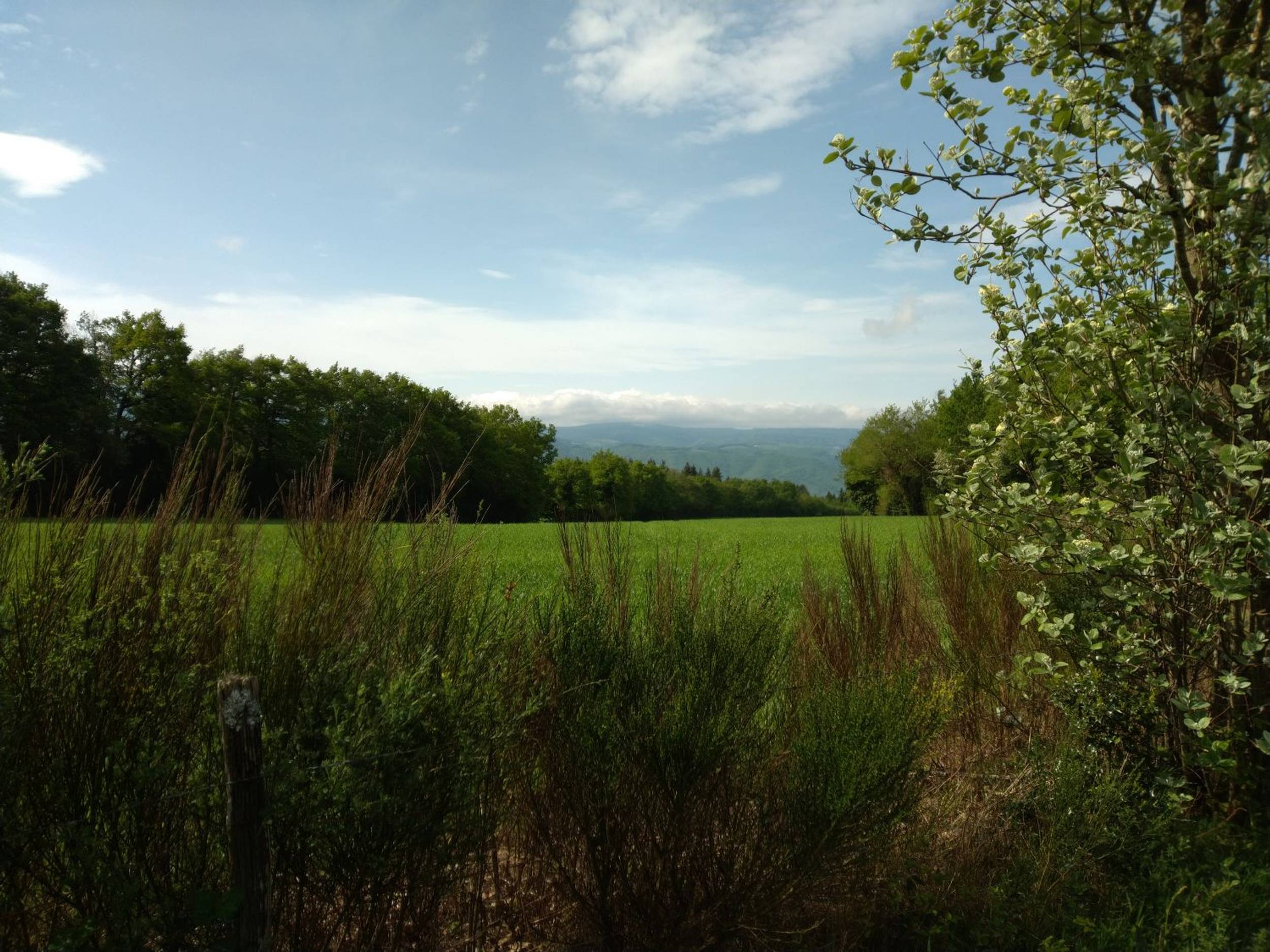 paysage-saint-baudille-qfdcmcbzf3lz
