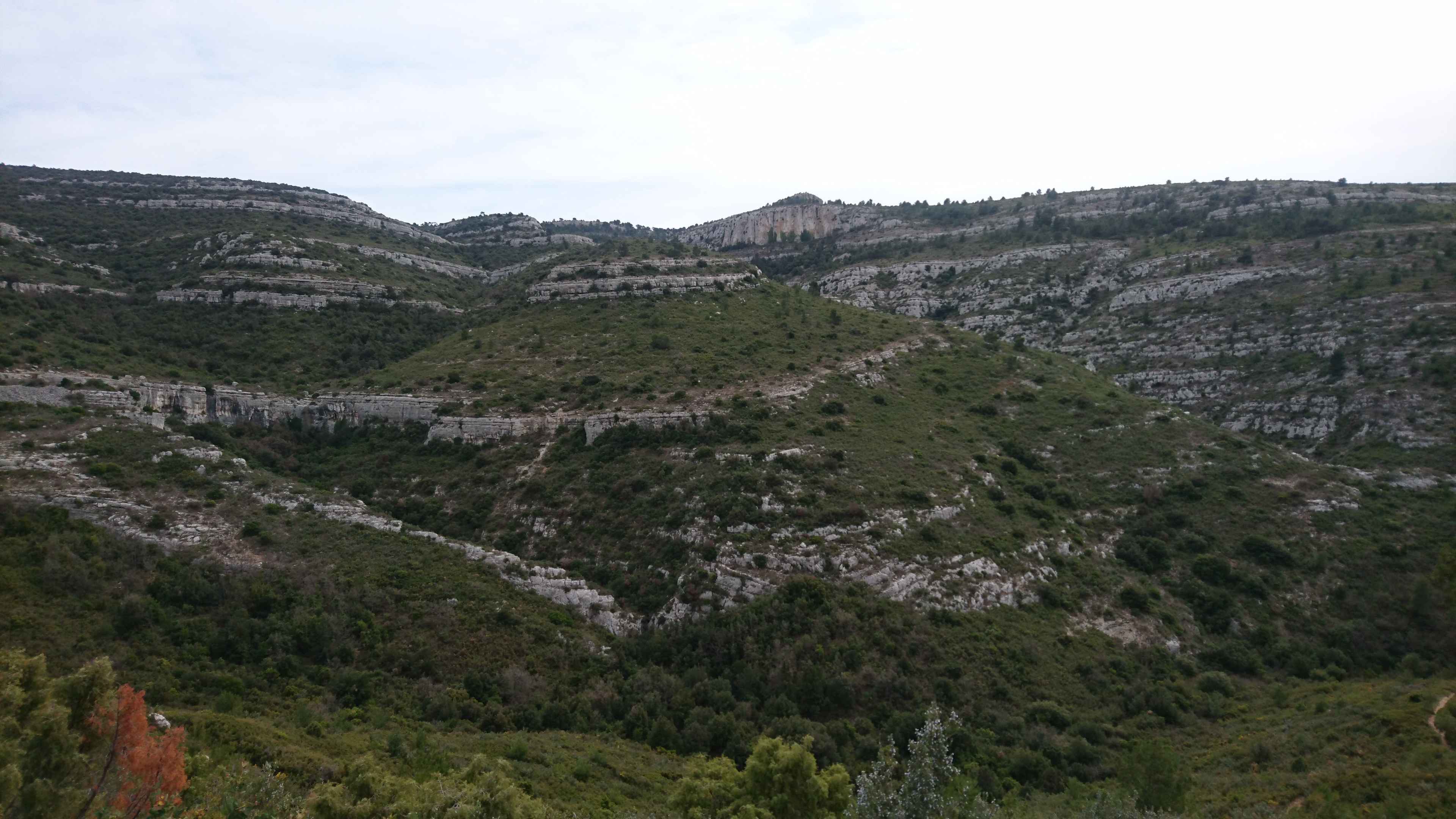 Domaine de Pichauris, Allauch - photo 3