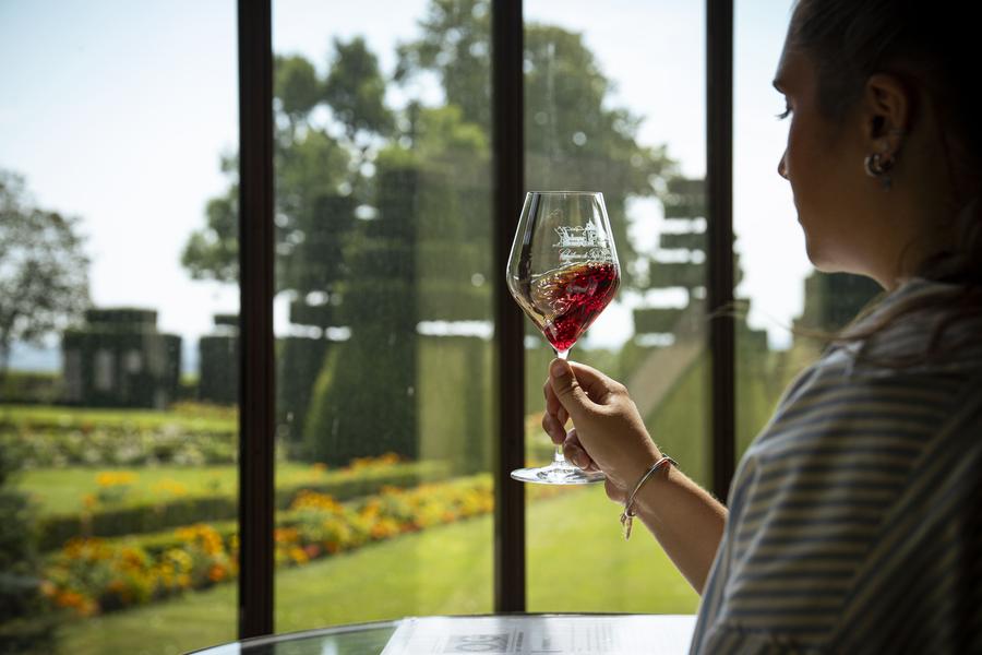 Dégustation oenothèque