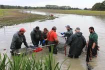 Pêche d'étang commentée et découverte du Fumet des Dombes