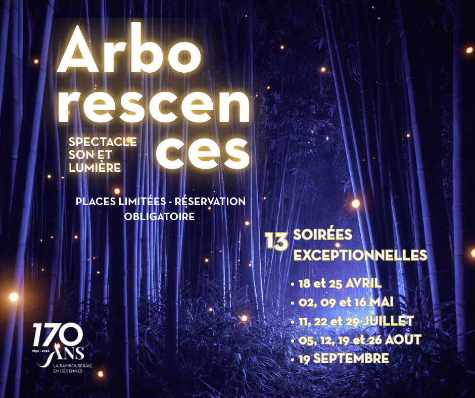 Nocturne à la Bambouseraie_Générargues