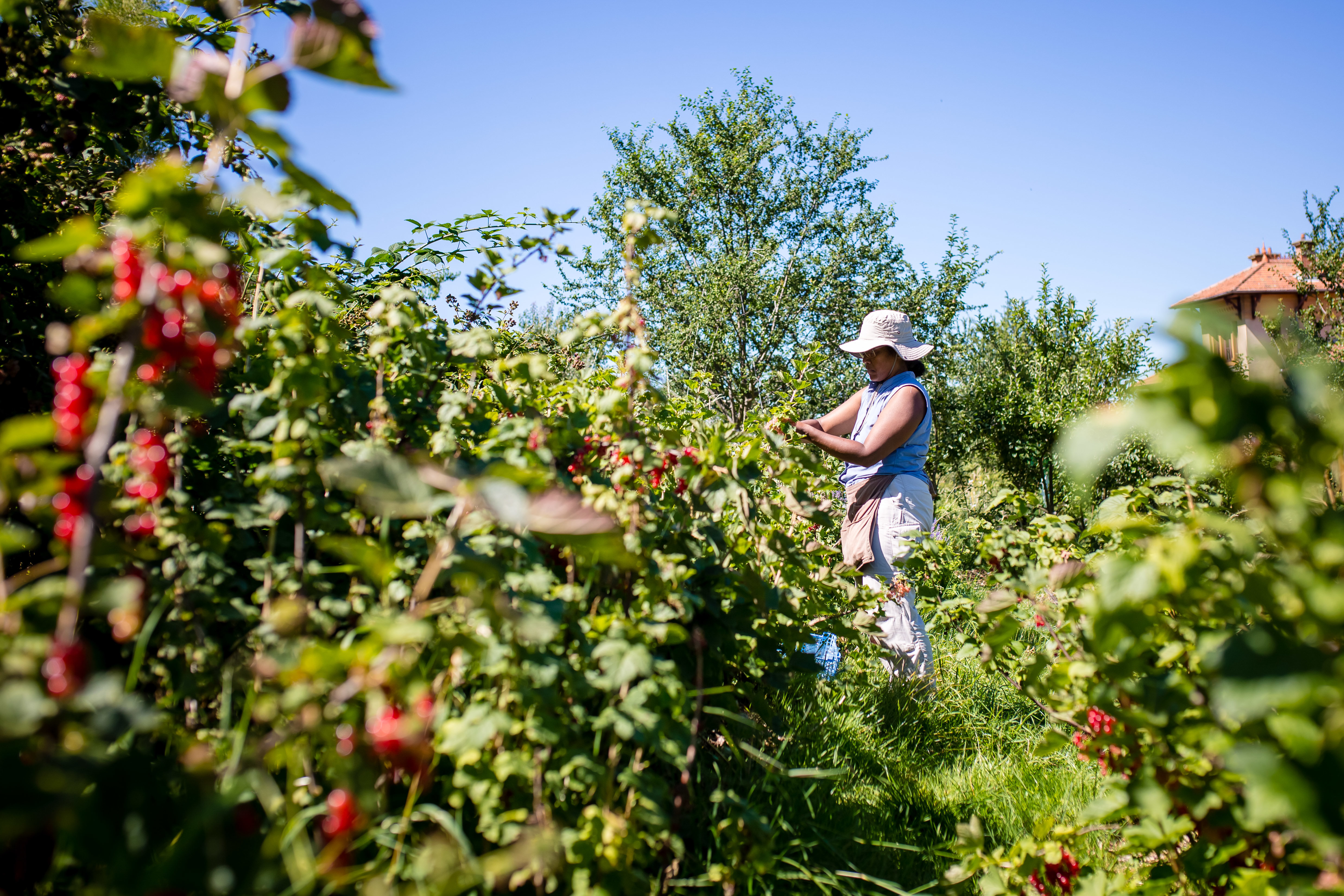 Visite accompagnée de la ferme permacole La Source Dorée