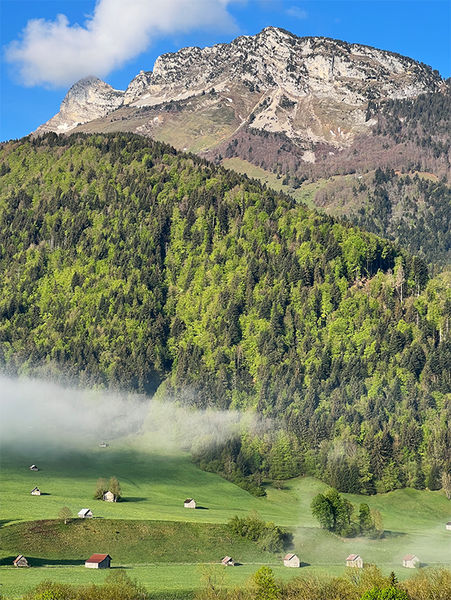 Paysage, des grangettes