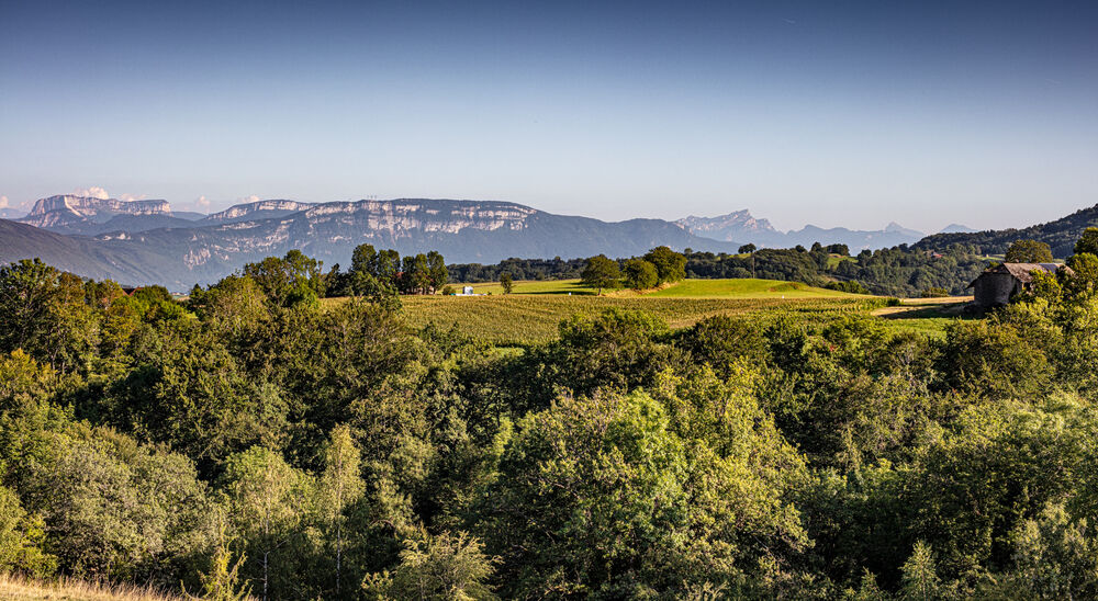 Vue sur le Mont Granier depuis Losieux