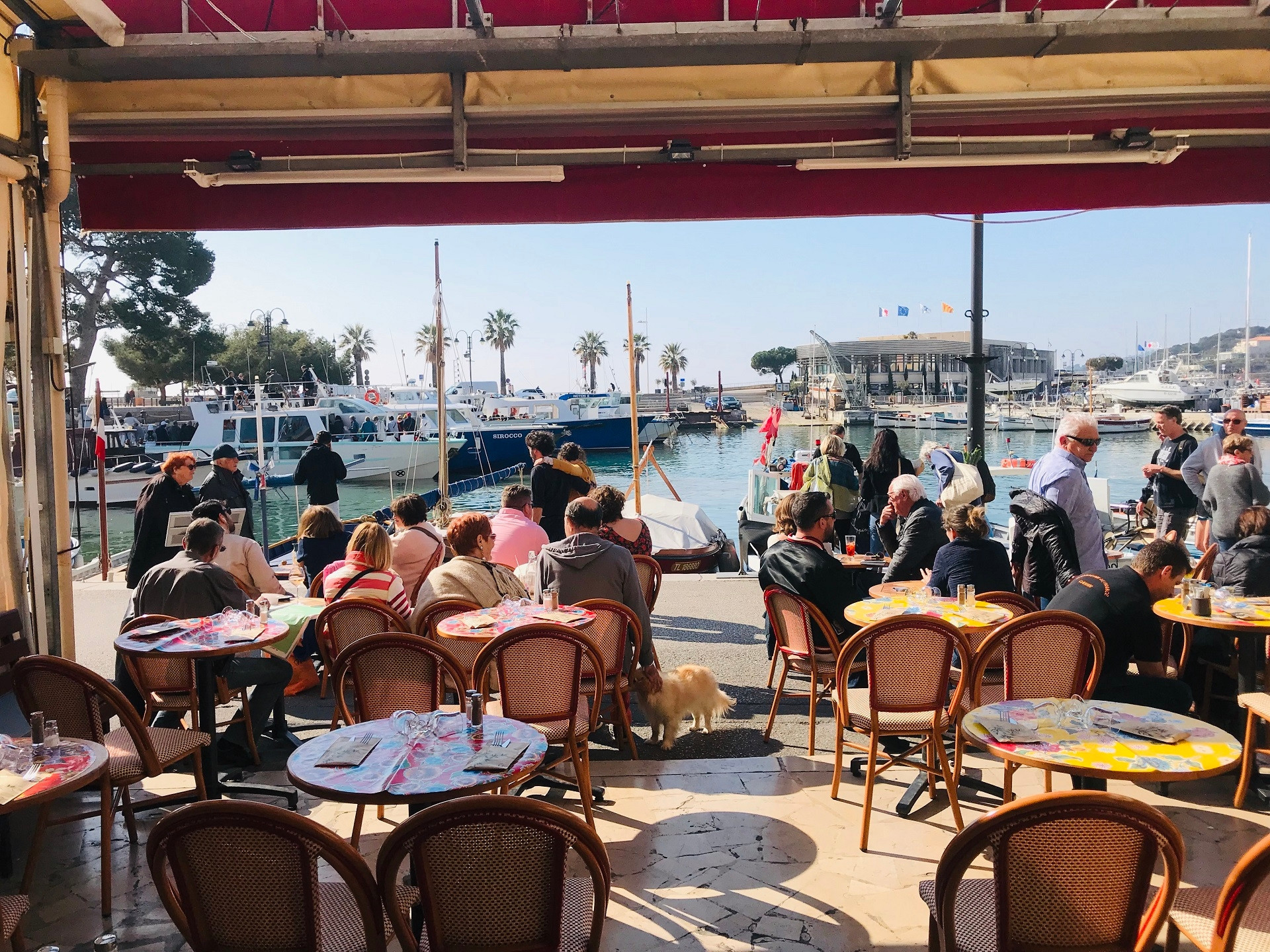 Bar Le France - photo 3