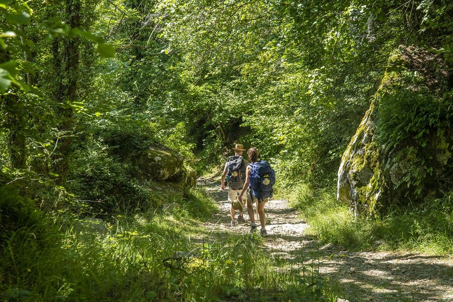 Portion du chemin de Saint-Jacques de Compostellle (GR765)