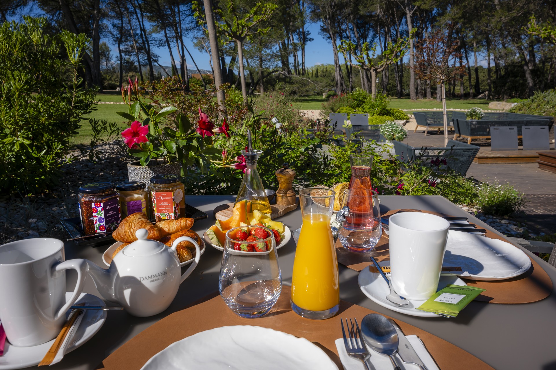 Domaine La Pierre Blanche, Eygalières - photo 6