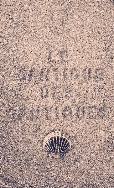 Visite guidée de l'exposition Chant de sables - Jérémie Bennequin 