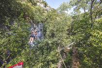 Canyon Forest - Villeneuve-Loubet