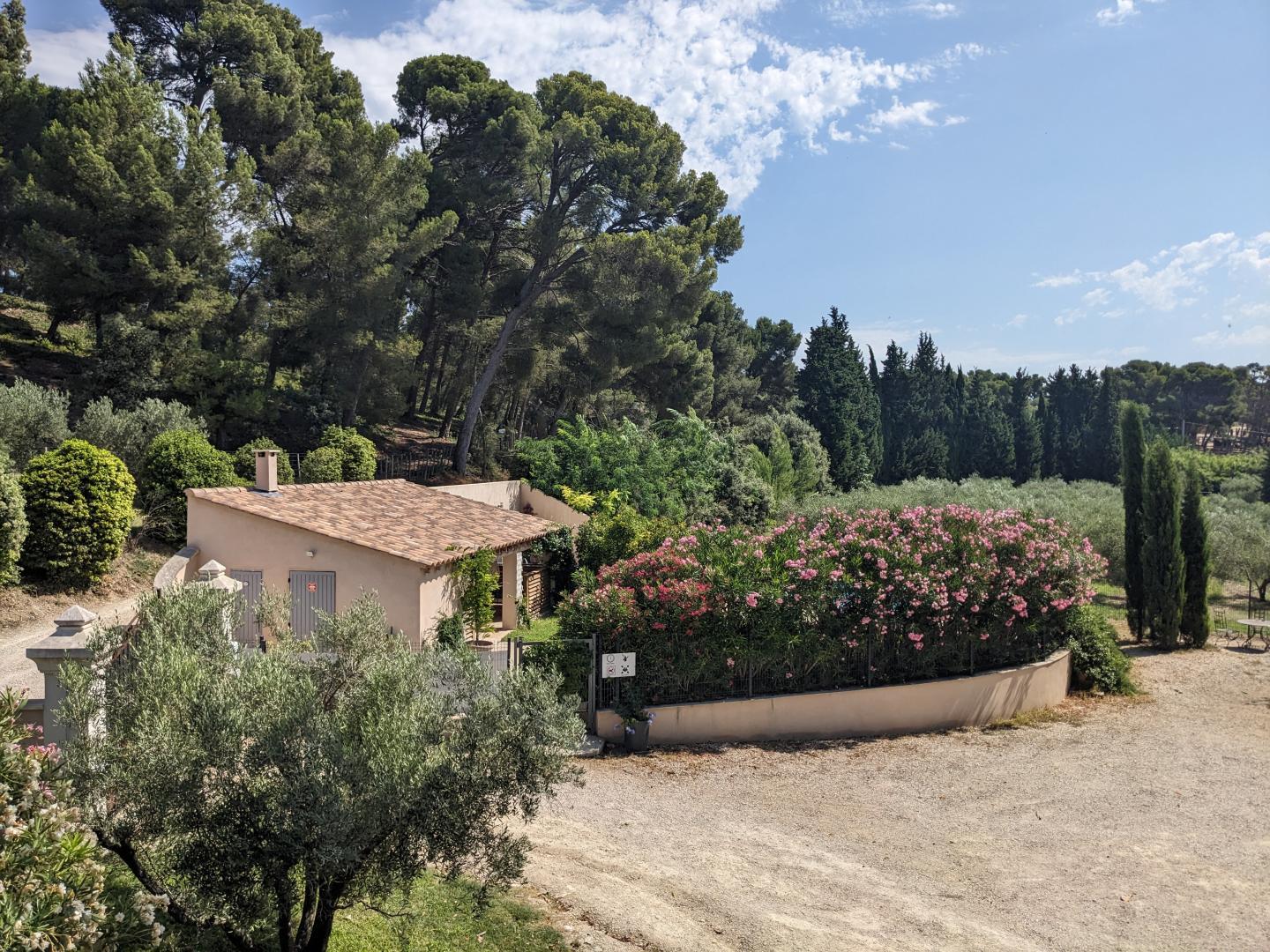 Le Mas Saint Roman - La pichoulino, Maussane-les-Alpilles - photo 22