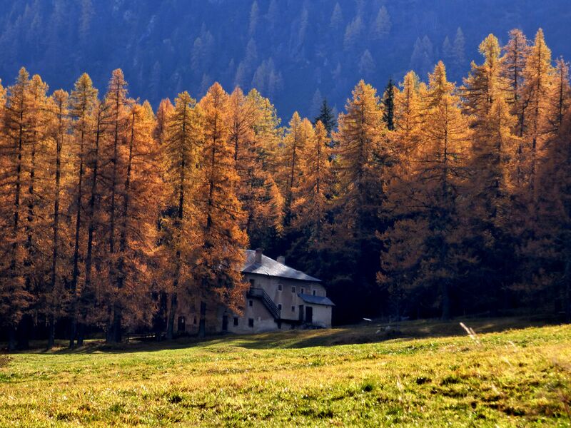 Sentier muséo du palais de la mine