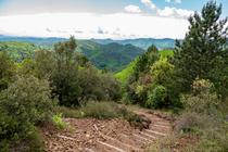 Montée au volcan