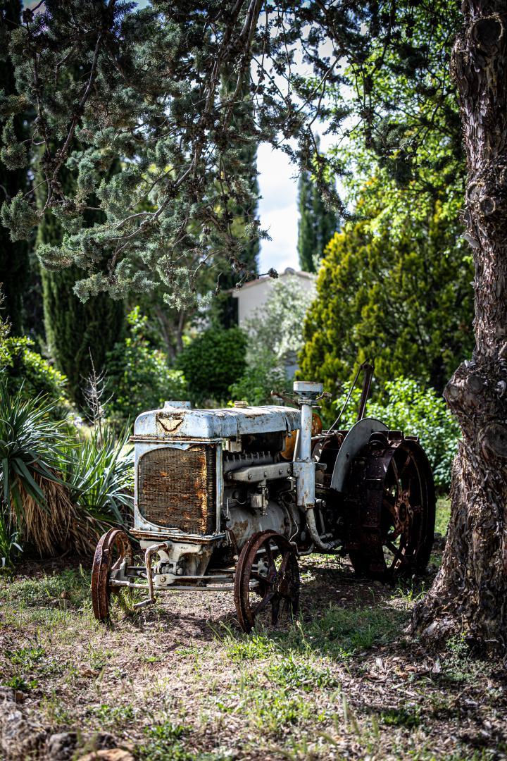 Le Domaine de l'Aube, Saint-Marc-Jaumegarde - photo 19