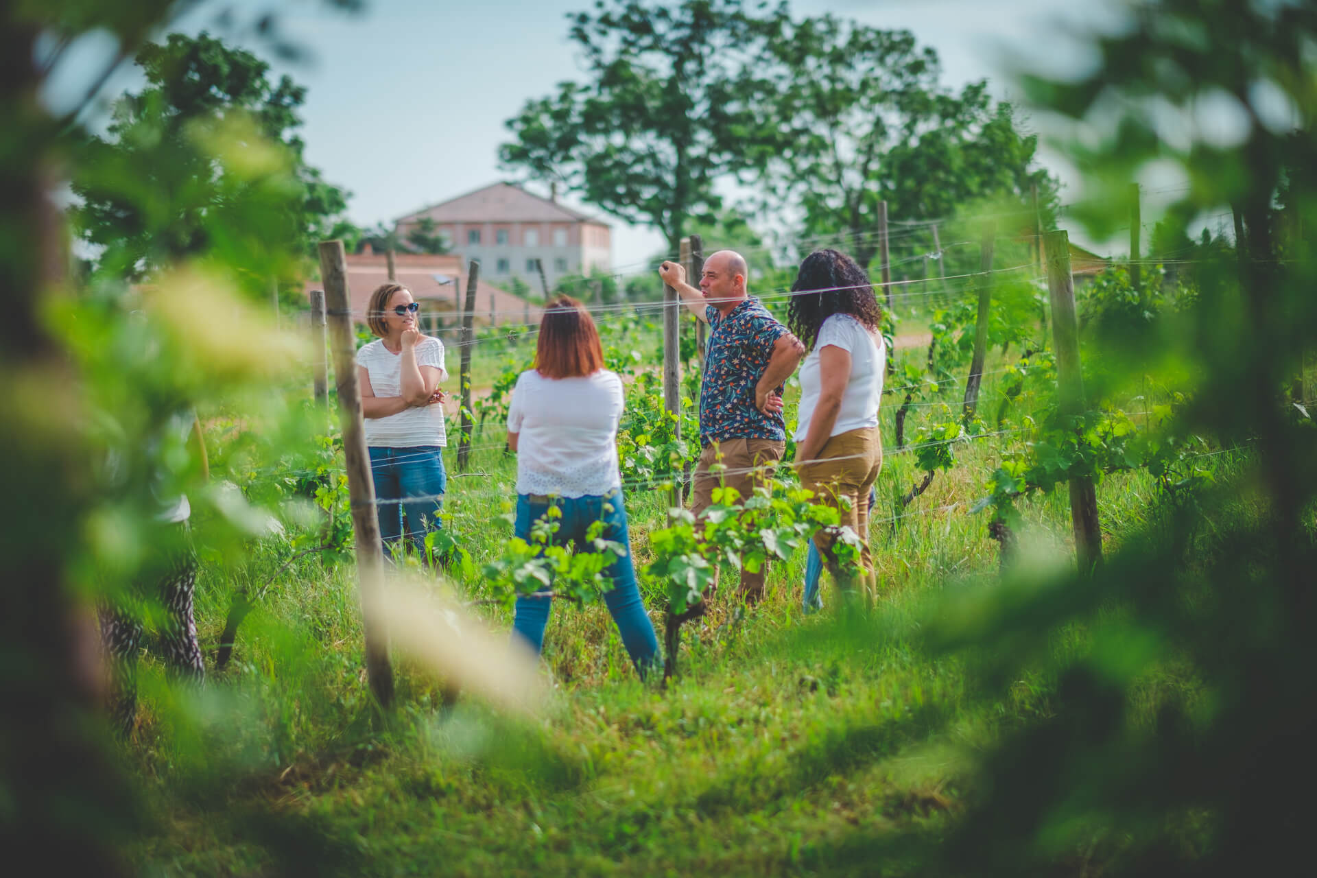 Rencontre vigneronne - Domaine des Palais