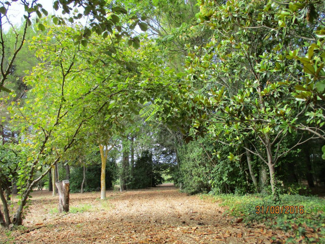 Le Figuier, Gémenos - photo 8