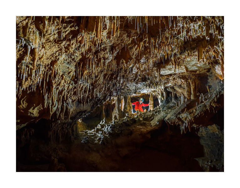 Le Labyrinthe du Réseau 2