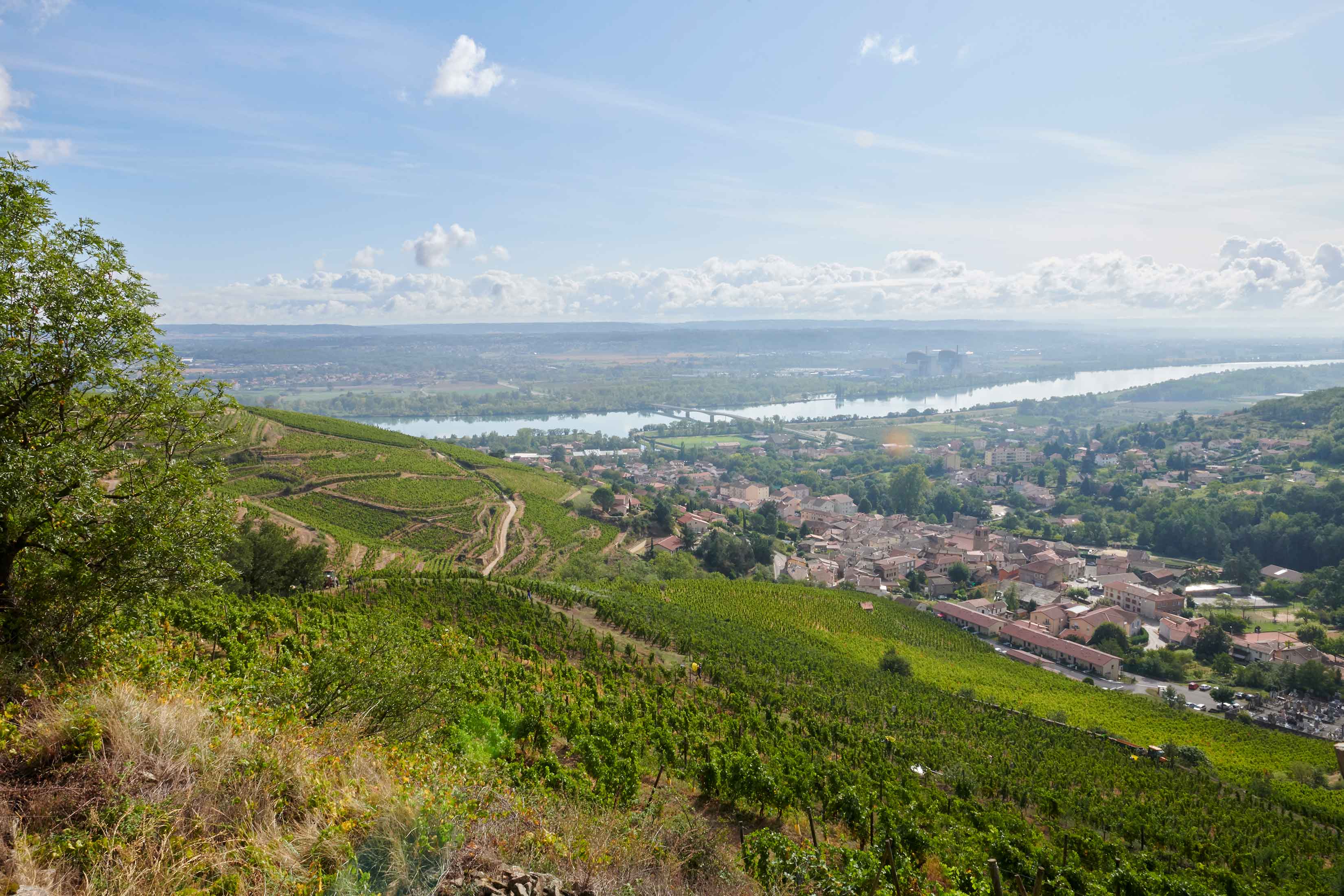 Brunch of the Fascinating weekend in Domaine Verzier