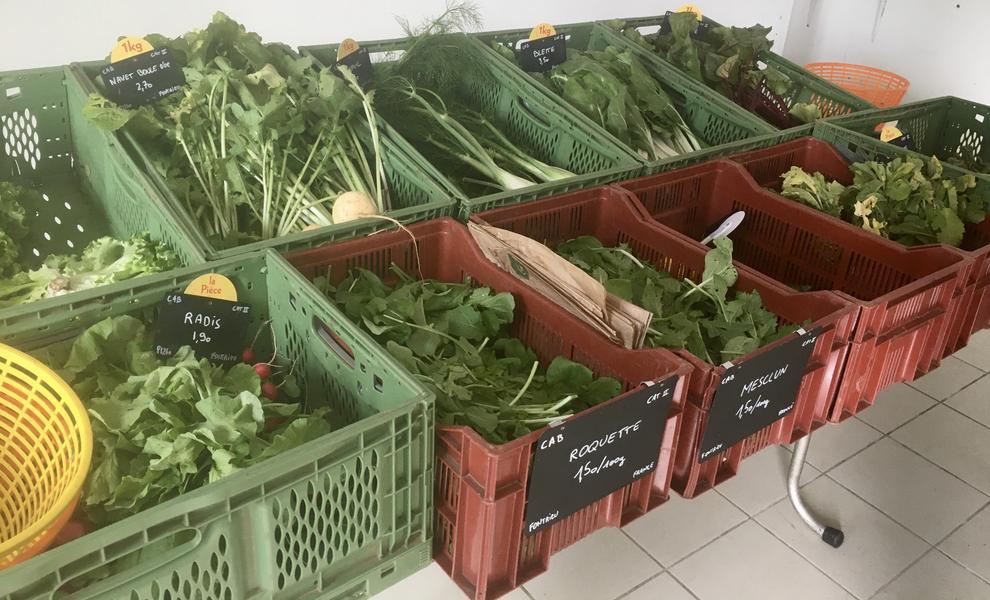 Boutique de producteurs locaux et bio