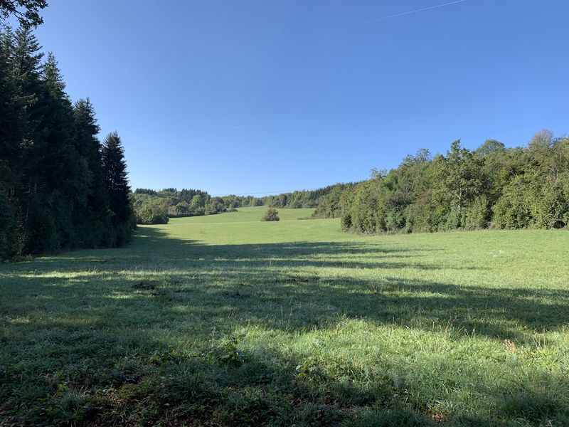 Le sentier de mémoire d'Evosges