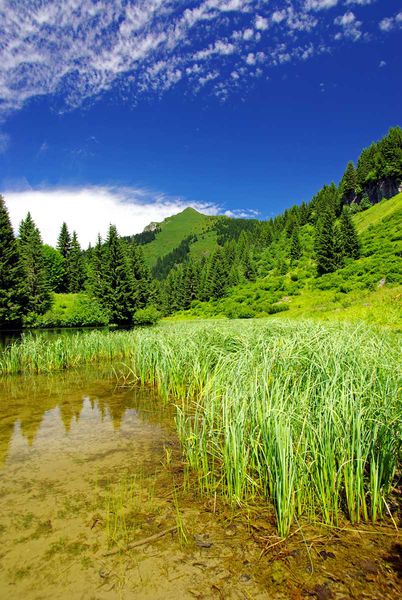 Lac de Damoz des Moulins
