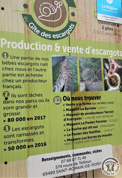 Gîte \'Le Bourgogne\' - La Ferme aux escargots à St Romain de Popey (Rhône, Beaujolais, proximité de l\'Arbresle et Tarare) : sur place, production et vente d\'escargots.