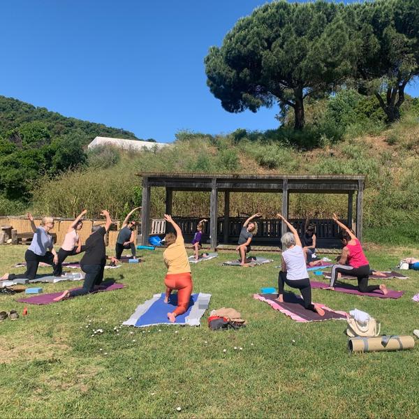 Yoga sous l'Eucalyptus + Brunch_Cavalaire-sur-Mer