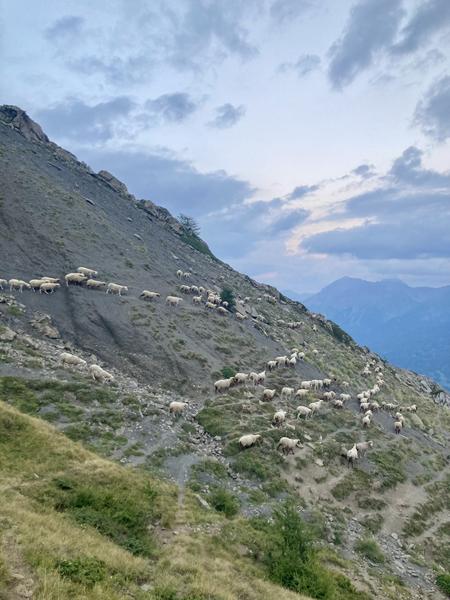 Festival de l'Alpage : Spectacle de clôture 'Et le souffle régulier de nos respiration'