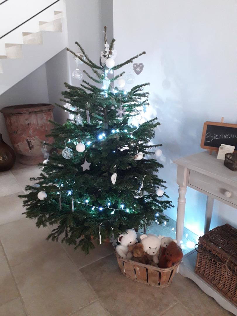 Mas des Princes, Noves - photo 38