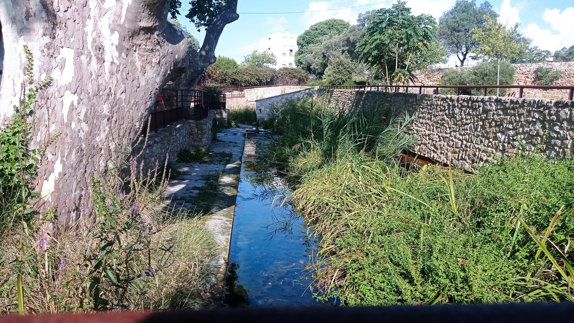 Site archéologique de Tholon, Martigues - photo 2