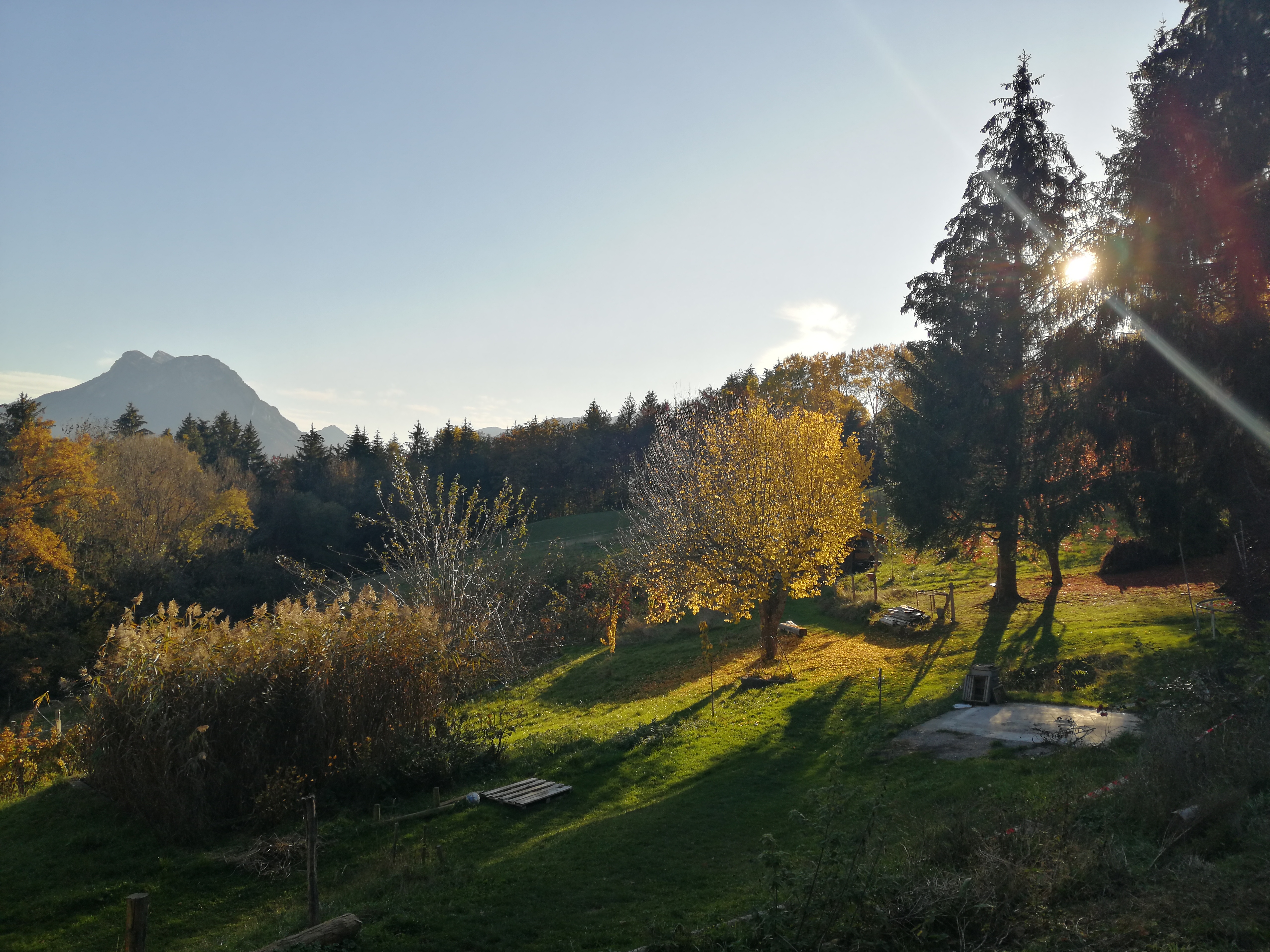 Nuit en tente à la ferme