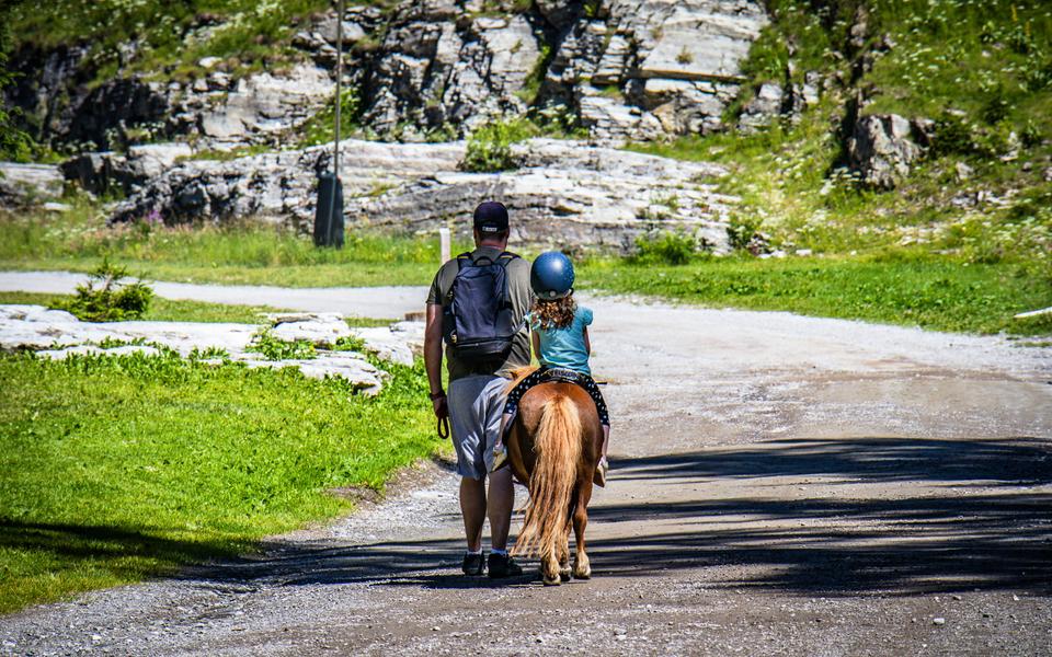 Pony ride