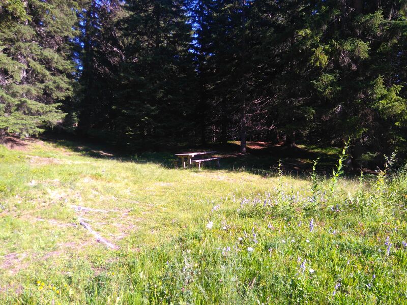 aire-pique-nique-foret