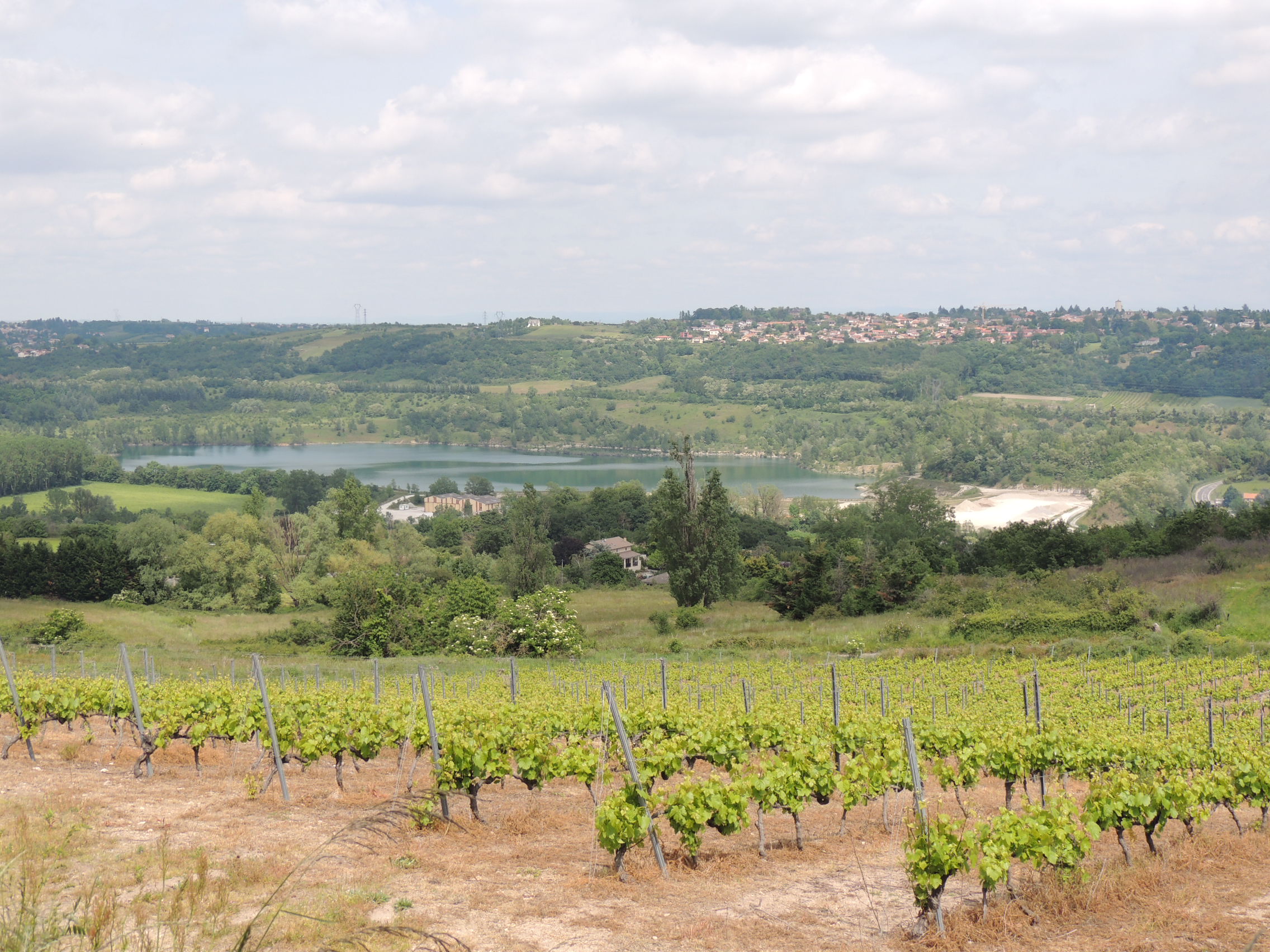 Panorama sur les carrières du Garon et Millery