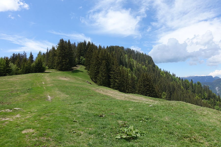 Tête du Danay depuis les Confins
