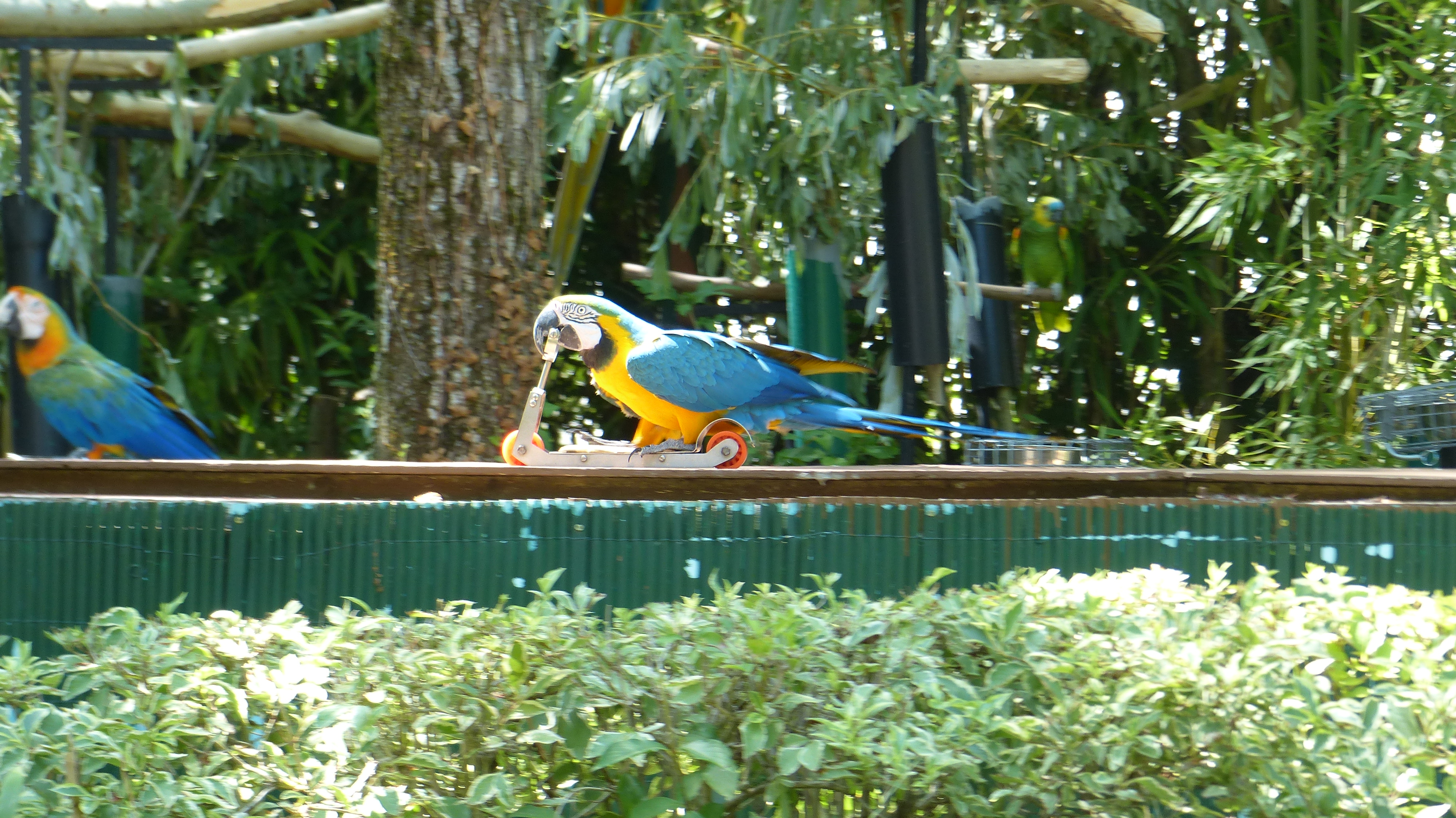 Spectacle en plein air