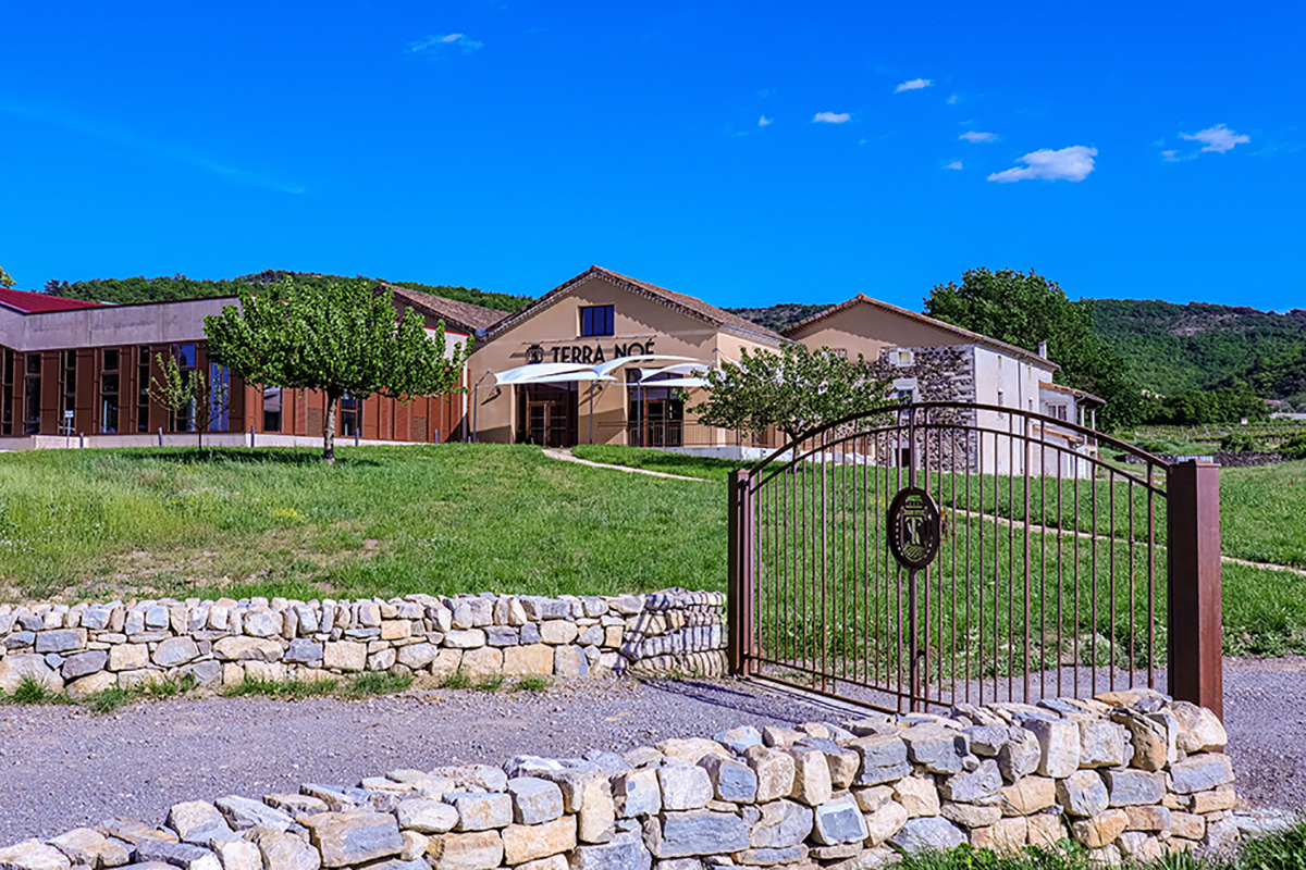 Domaine Terra Noé - Ardèche Web