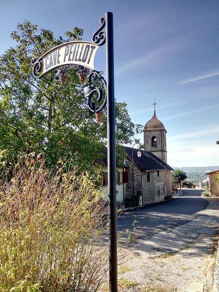 Les sens de la vigne - Cave Peillot_Montagnieu