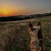 Balade à cheval_Chambles