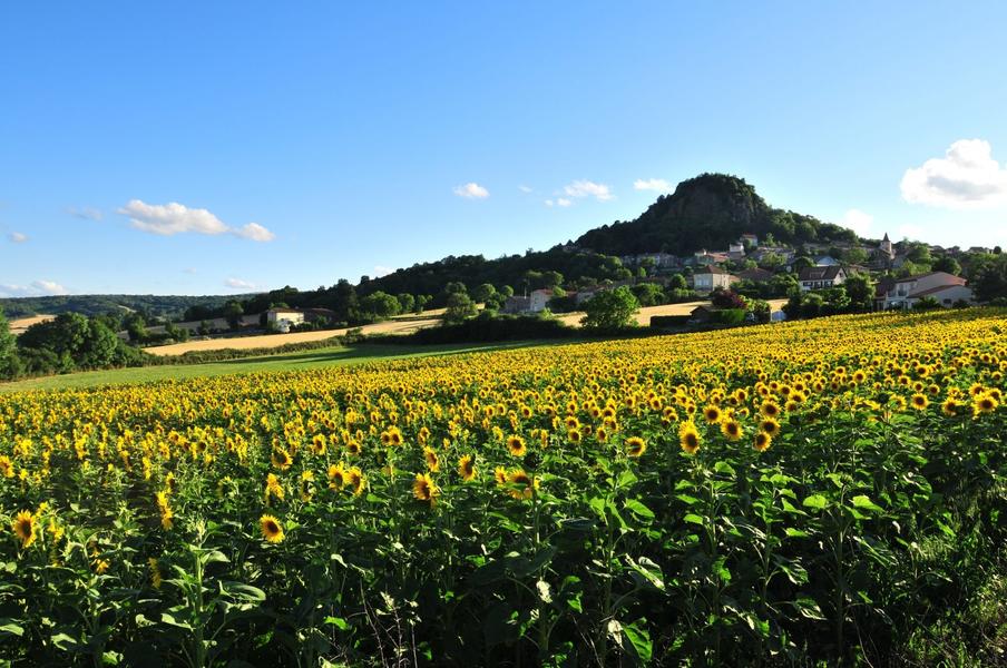 Circuit cyclo/vélo route n°8 : Villages perchés et vignes