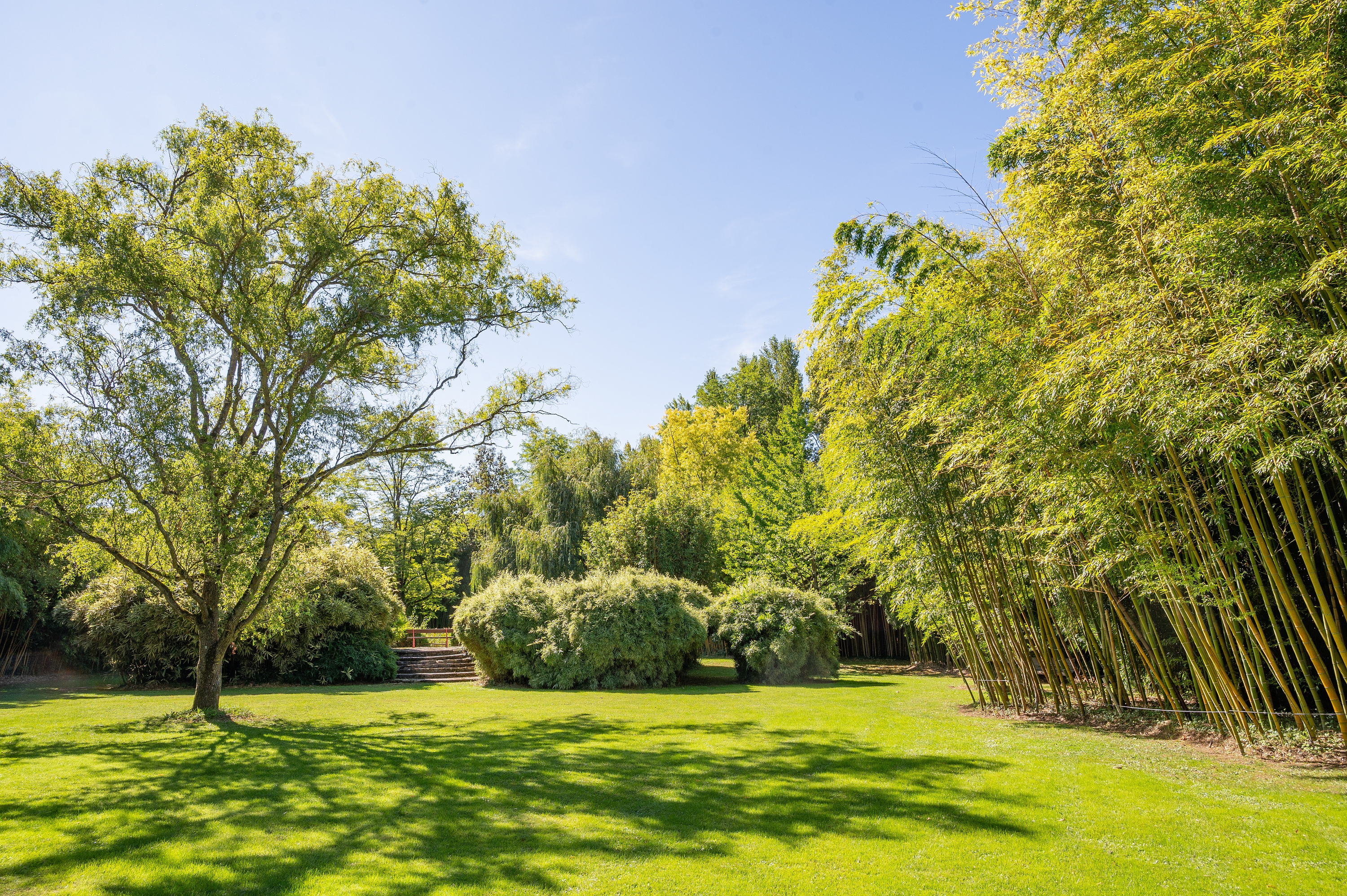 Parc aux bambous - Un Jour Libre 2