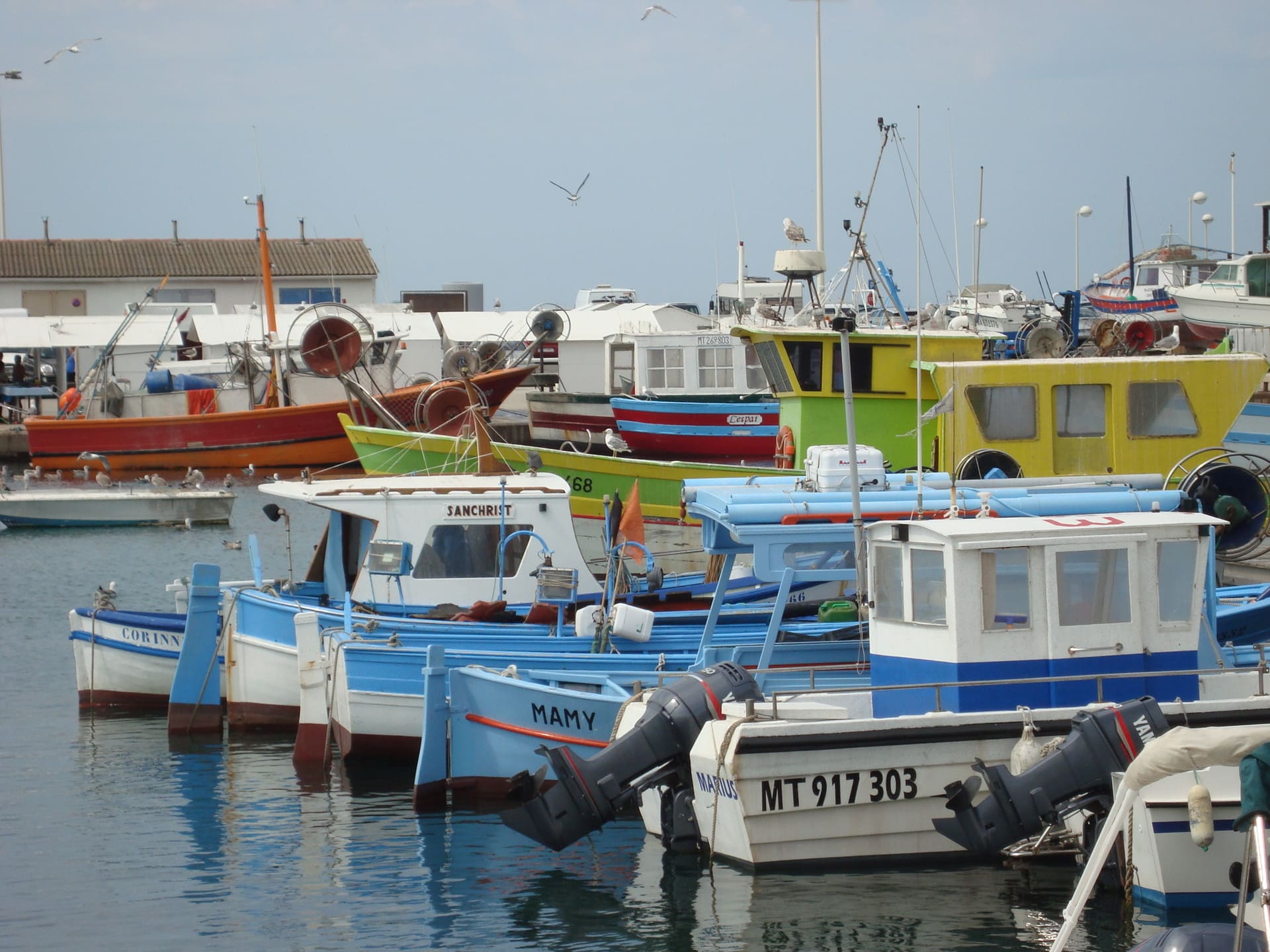 Port de Carro - photo 5