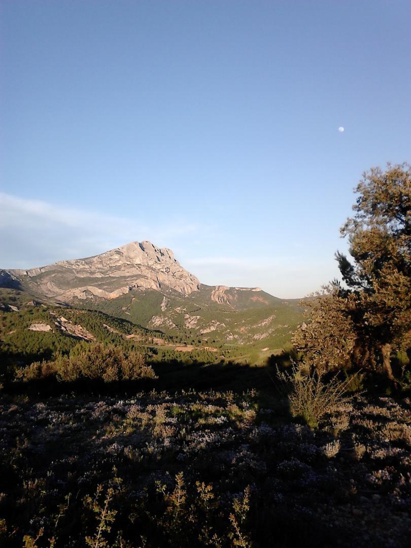 Tilleul, Jouques - photo 43