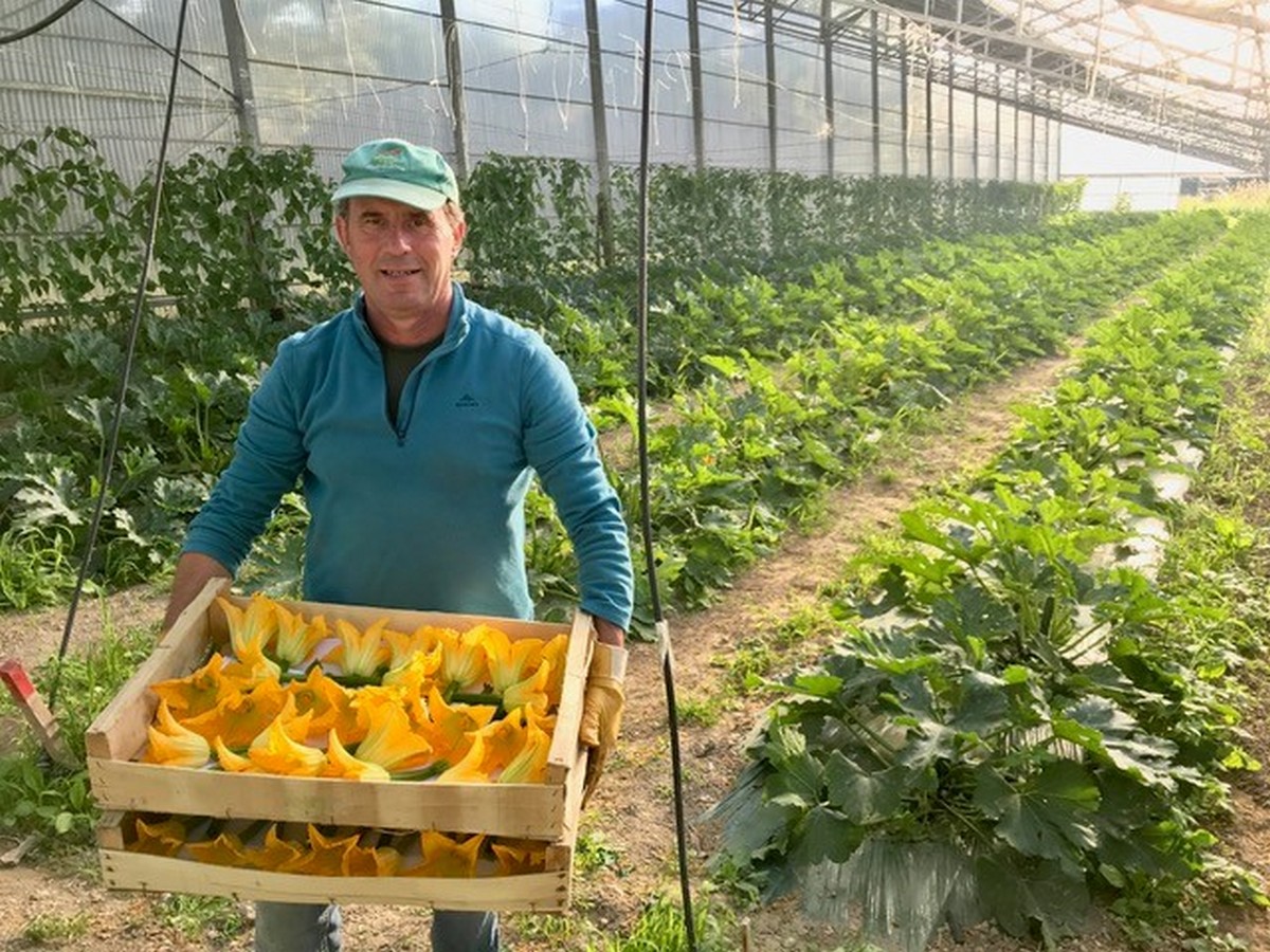 La petite ferme pédagogique de Saint-Rémy - photo 3