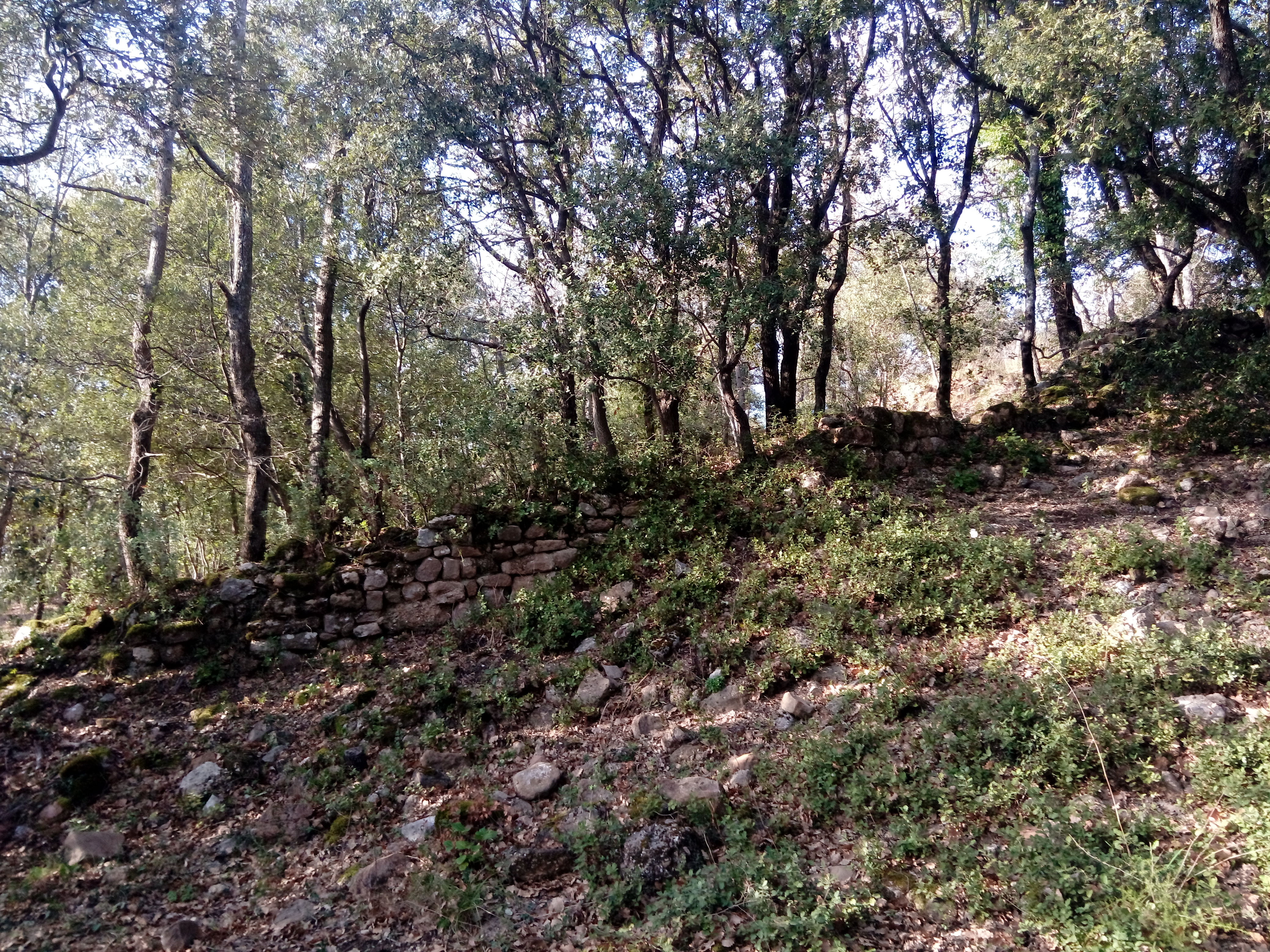 Randonnée "Le Castrum Saint-Michel", Trets - photo 9