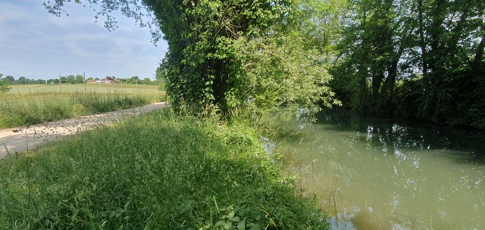 Balade - Moulins de Polliat_Polliat